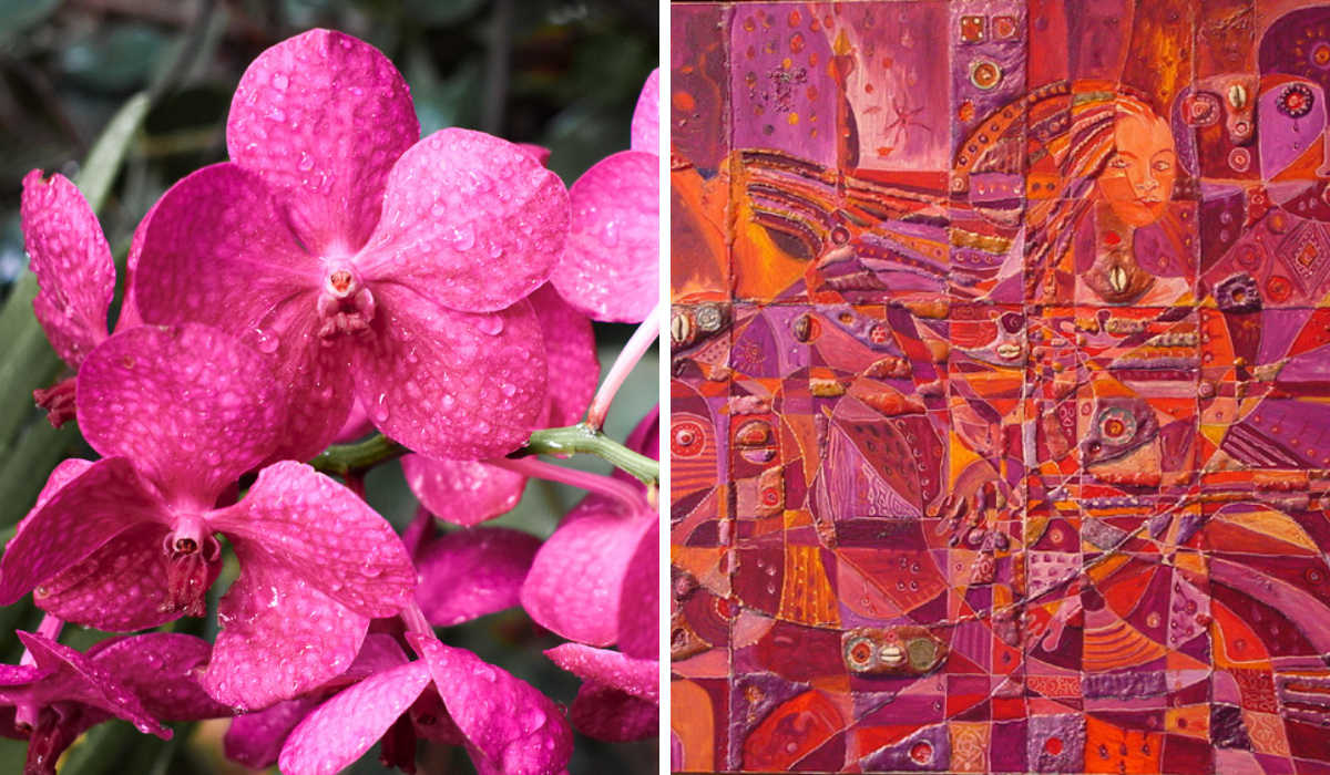 Right: magenta orchid flowers, Left: Magenta and orange painting of a woman
