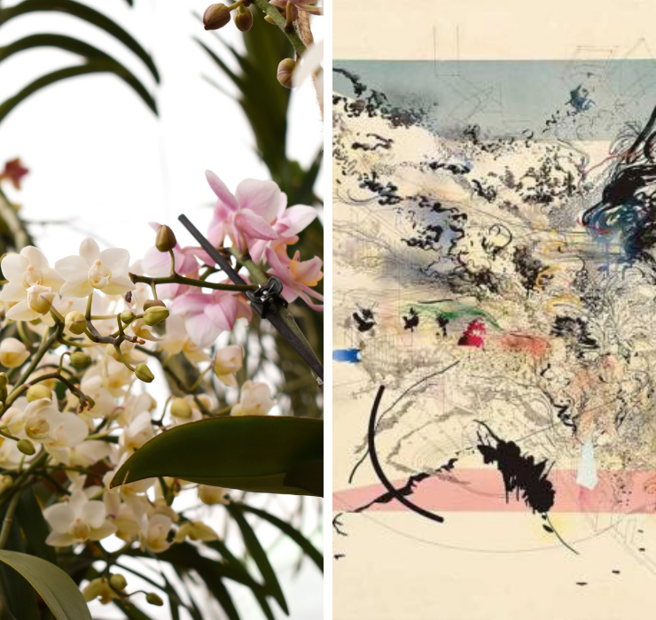 Right: white and pink orchid flowers, Left: Abstract painting in pink, black, and white