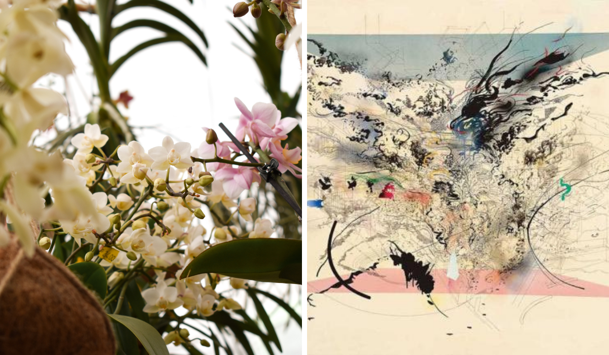 Right: white and pink orchid flowers, Left: Abstract painting in pink, black, and white