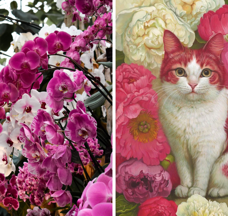 Right: magenta and white orchid flowers, Left: Painting of a pink and white cat surrounded by pink and white peonies