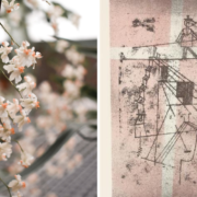 Right: white oncidium orchid spray, Left: line art painting on a light pink background