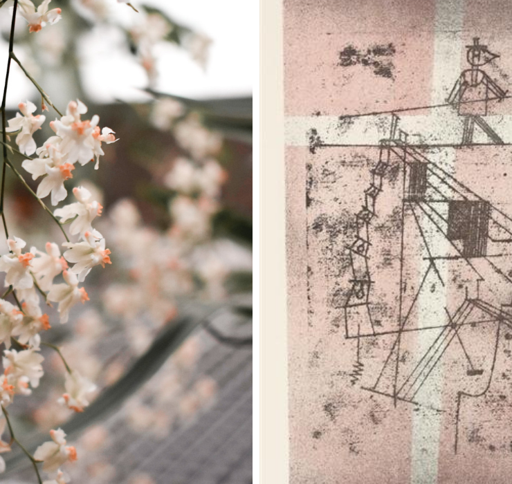 Right: white oncidium orchid spray, Left: line art painting on a light pink background