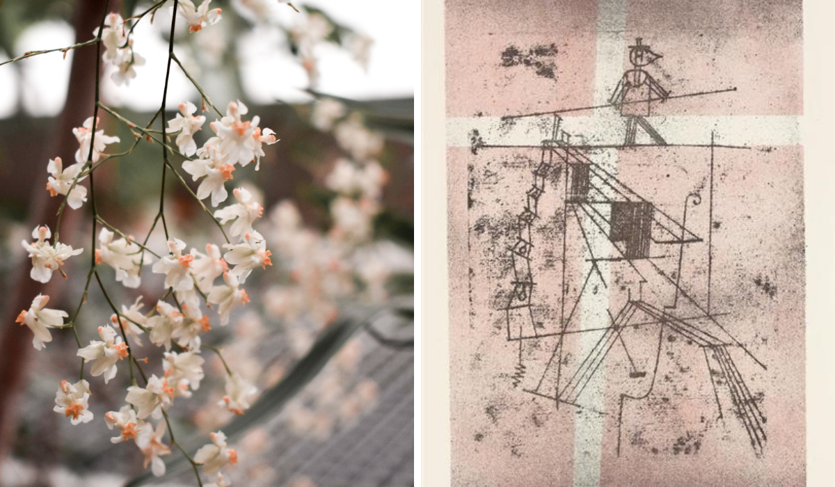 Right: white oncidium orchid spray, Left: line art painting on a light pink background