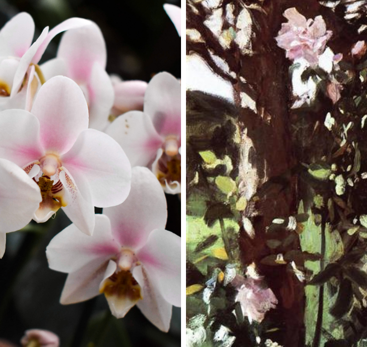 Right: light pink orchid, Left: impressionist paining of light pink roses