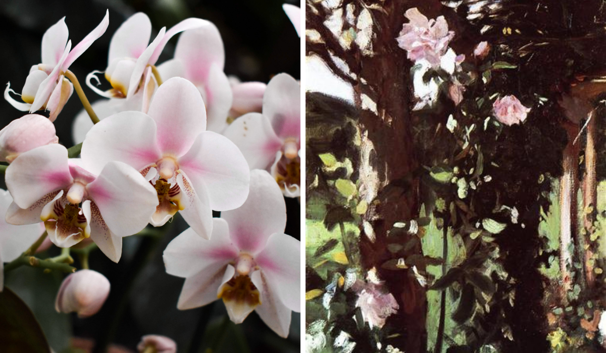 Right: light pink orchid, Left: impressionist paining of light pink roses