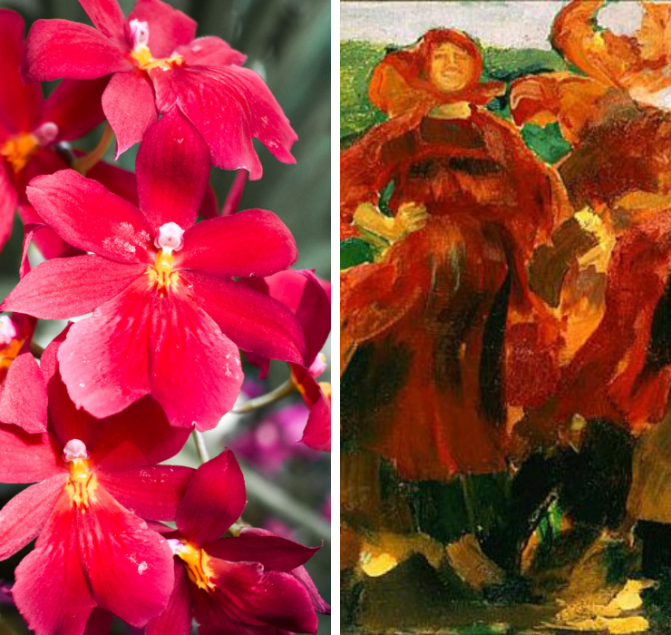 Right: Bright red orchids with yellow markings, Left: Four women wearing bright red dresses, their heads are back in laughter