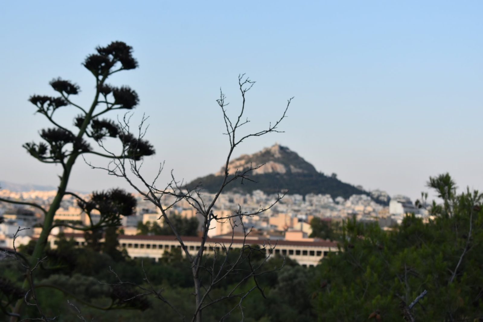 View of Athens from behind branches, a hill is in the distance