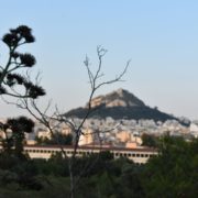 View of Athens from behind branches, a hill is in the distance