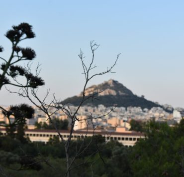 View of Athens from behind branches, a hill is in the distance