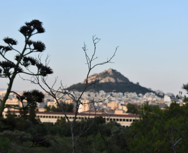 View of Athens from behind branches, a hill is in the distance