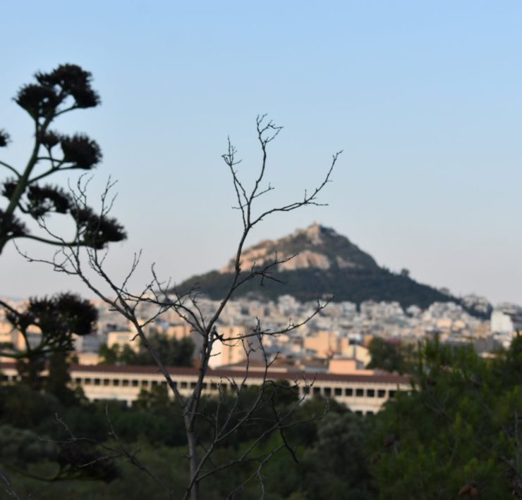 View of Athens from behind branches, a hill is in the distance