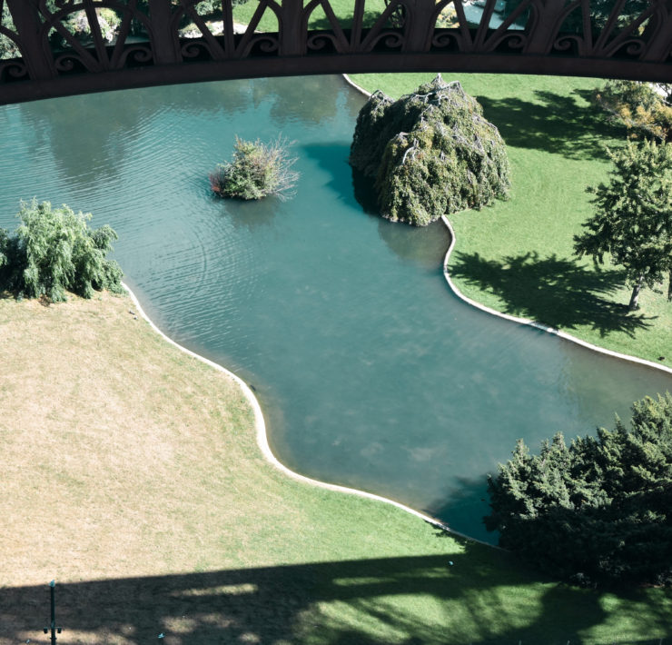 Arial view of a river with willow trees along the bank