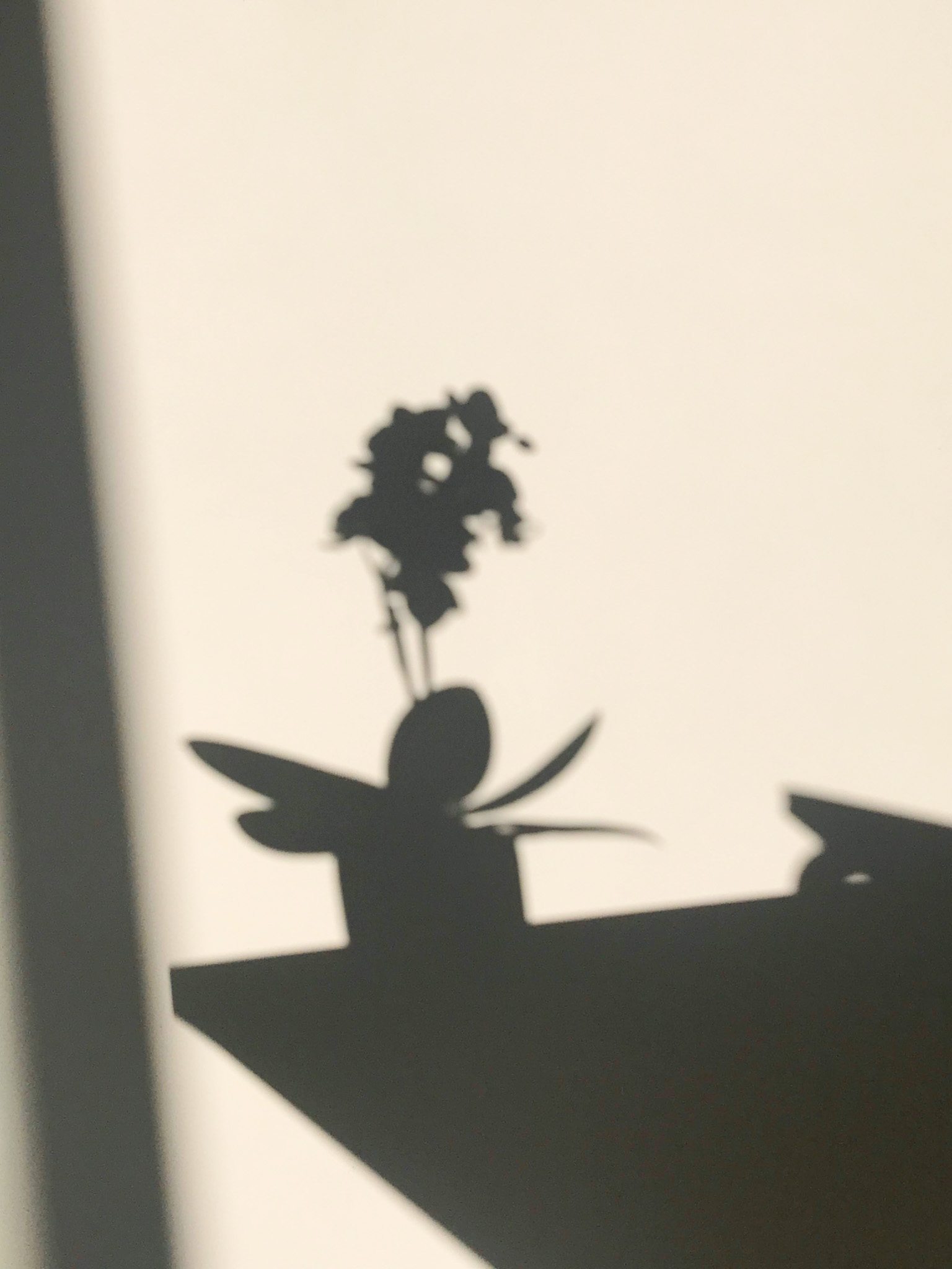 silhoette of a potted plant
