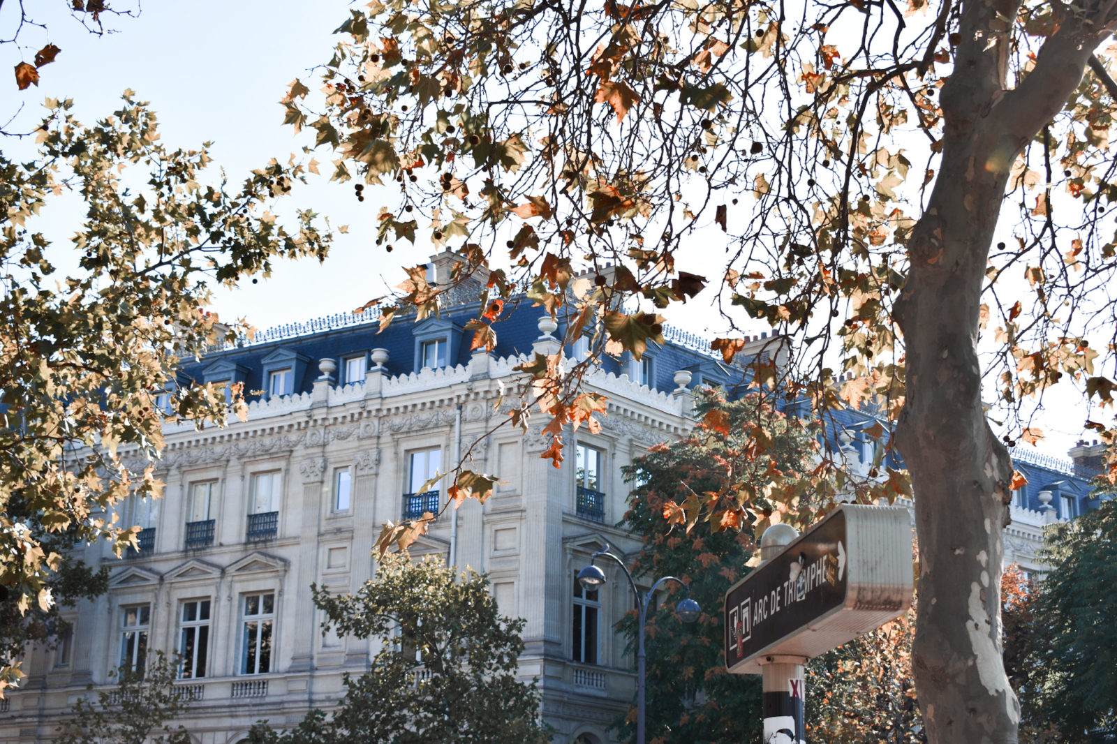 Parisian building viewed from the corner. There are two trees with golden leaves in the foreground