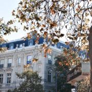 Parisian building viewed from the corner. There are two trees with golden leaves in the foreground