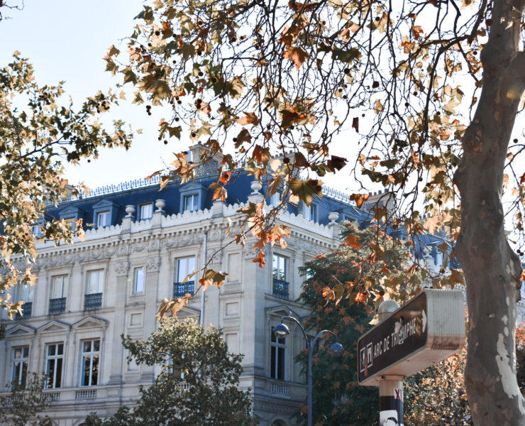 Parisian building viewed from the corner. There are two trees with golden leaves in the foreground