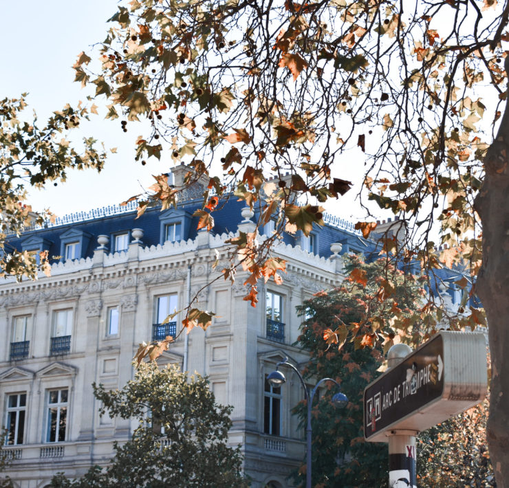 Parisian building viewed from the corner. There are two trees with golden leaves in the foreground