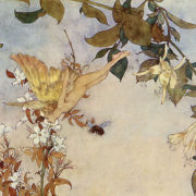 Painting of a fairy leaning down to a jasmine flower, there are two bees and a honeysuckle vine
