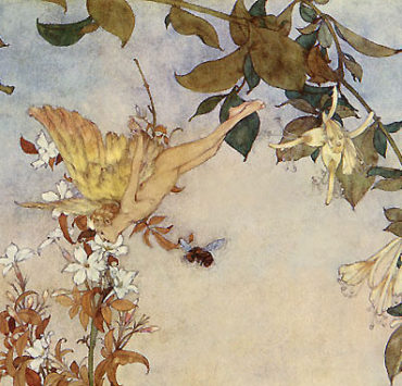 Painting of a fairy leaning down to a jasmine flower, there are two bees and a honeysuckle vine