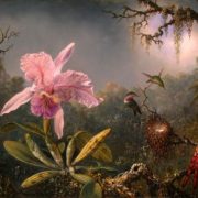 Painting of a pink orchid with three hummingbirds and a nest to the right of it