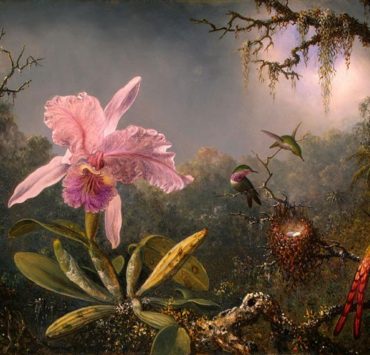 Painting of a pink orchid with three hummingbirds and a nest to the right of it