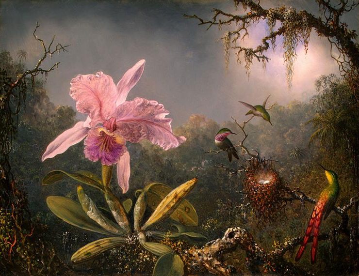 Painting of a pink orchid with three hummingbirds and a nest to the right of it