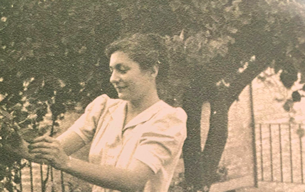 Black and white photograph of a woman in a white dress pruning a rosebush