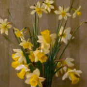 Bouquet of daffodils on a wooden background