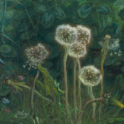 Painting of five dandelions on a dark background of green clover