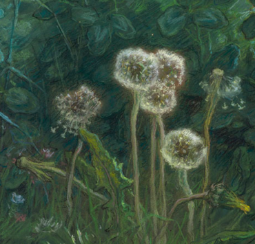 Painting of five dandelions on a dark background of green clover