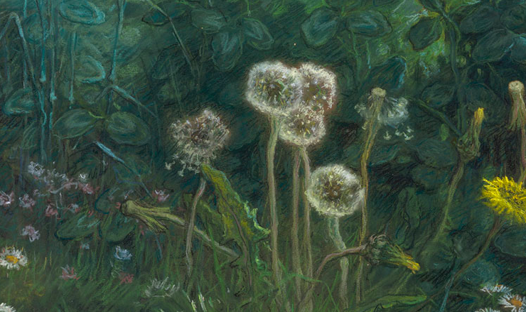 Painting of five dandelions on a dark background of green clover