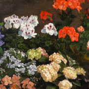 Painting of various flowers in pots including geraniums, roses, phlox, and hydrangea