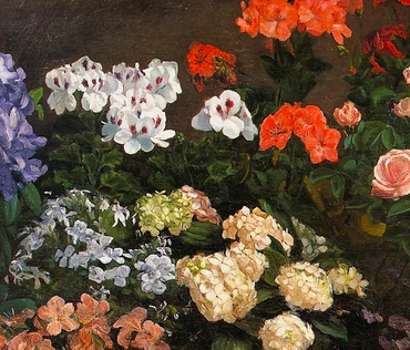 Painting of various flowers in pots including geraniums, roses, phlox, and hydrangea