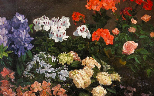 Painting of various flowers in pots including geraniums, roses, phlox, and hydrangea
