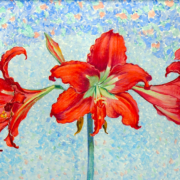 Painting of a red amaryllis on a blue background
