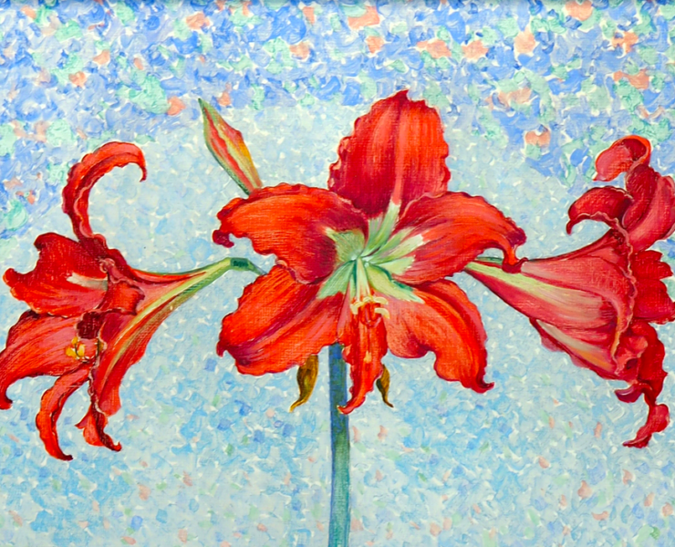 Painting of a red amaryllis on a blue background