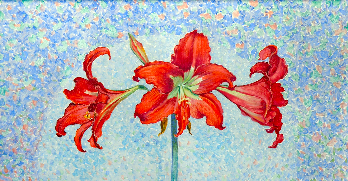 Painting of a red amaryllis on a blue background