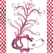 Illustration in shades of red and purple of a hand gripping a root that branches off with fruits