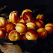 Oil painting of apricots in a basket on a black background