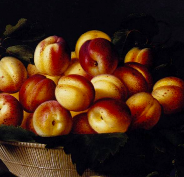 Oil painting of apricots in a basket on a black background
