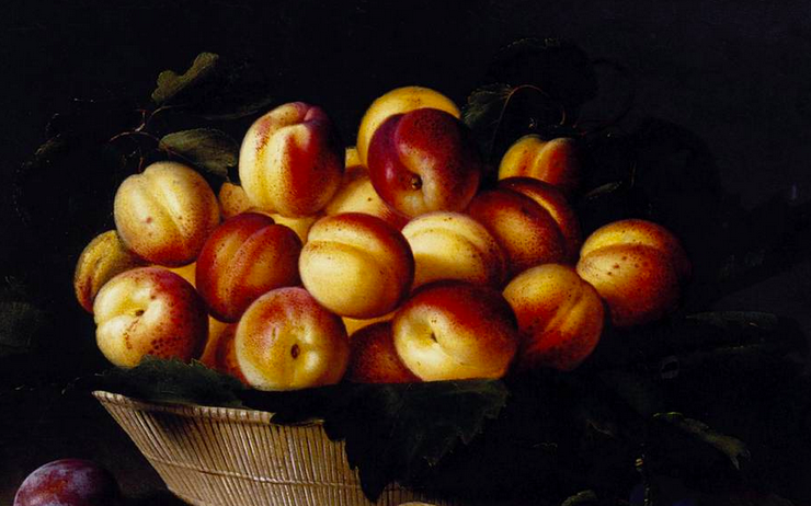 Oil painting of apricots in a basket on a black background