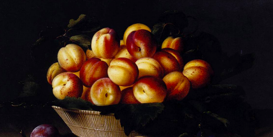 Oil painting of apricots in a basket on a black background