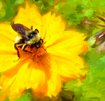 Photograph of a bee on a painting of a yellow flower