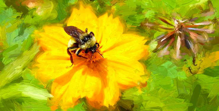 Photograph of a bee on a painting of a yellow flower