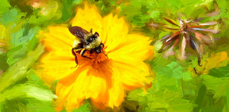 Photograph of a bee on a painting of a yellow flower