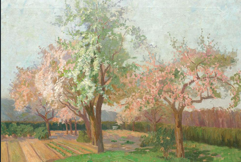 Impressionist painting of several cherry trees blossoming in pink and white