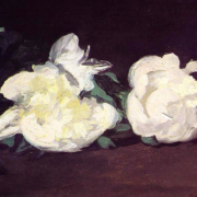 Impressionist painting of two white peonies laid out on a table