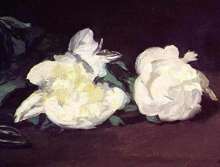 Impressionist painting of two white peonies laid out on a table