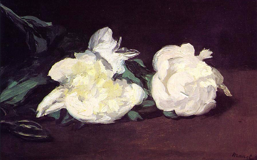 Impressionist painting of two white peonies laid out on a table
