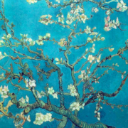Branches with white blossoms on a blue background